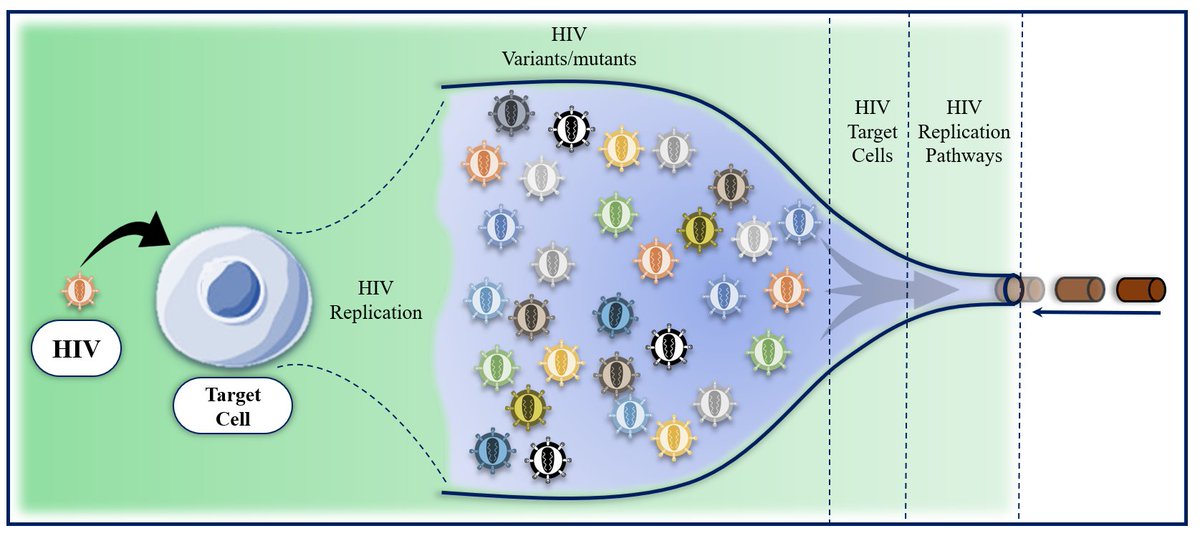 MahmoudHIV's tweet photo. واحدة من الاستراتيجيات التي أتبعها في علاجي لفيروس نقص المناعة البشري #HIV #AIDS
هي إغلاق/سدّ عنق الزجاجة

هذا الرسم التوضيحي حصري لكم لم اقم بنشره في المجلات العلمية https://t.co/SyaiBw5OdZ