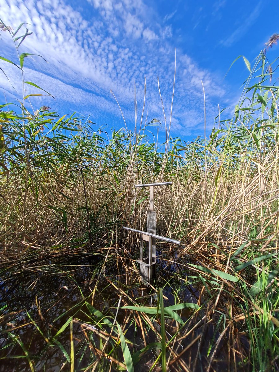 AnaDauner's tweet photo. Successful first week of sampling in Kallavesi for the #Bluelakes project! - @SuomenAkatemia @GeoHelsinkiUni @GTK_FI @tomjilbert @MaxKankainen @KaroliinaKoho @JunnaTuomas https://t.co/bWtJ3d6vp6