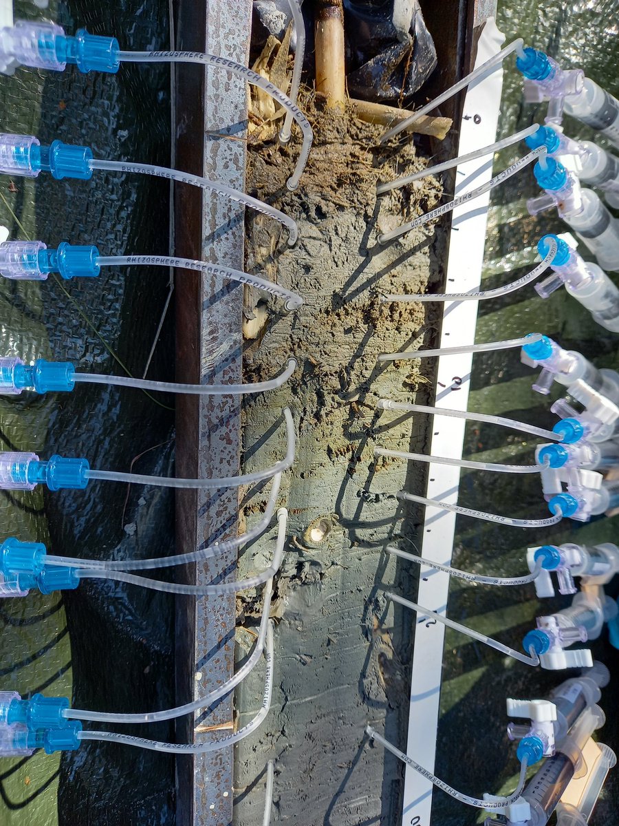 AnaDauner (@anadauner) on Twitter photo Successful first week of sampling in Kallavesi for the #Bluelakes project! - <a href="/SuomenAkatemia/">Suomen Akatemia | Research Council of Finland</a> <a href="/GeoHelsinkiUni/">Geosciences and Geography, University of Helsinki</a> <a href="/GTK_FI/">GTK</a> <a href="/tomjilbert/">Tom Jilbert</a> <a href="/MaxKankainen/">Max Kankainen</a> <a href="/KaroliinaKoho/">Karoliina Koho</a> <a href="/JunnaTuomas/">Tuomas Junna</a> Successful first week of sampling in Kallavesi for the #Bluelakes project! - <a href="/SuomenAkatemia/">Suomen Akatemia | Research Council of Finland</a> <a href="/GeoHelsinkiUni/">Geosciences and Geography, University of Helsinki</a> <a href="/GTK_FI/">GTK</a> <a href="/tomjilbert/">Tom Jilbert</a> <a href="/MaxKankainen/">Max Kankainen</a> <a href="/KaroliinaKoho/">Karoliina Koho</a> <a href="/JunnaTuomas/">Tuomas Junna</a>