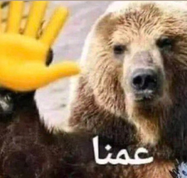 عبداللطيف || النخبوي💚 tweet media