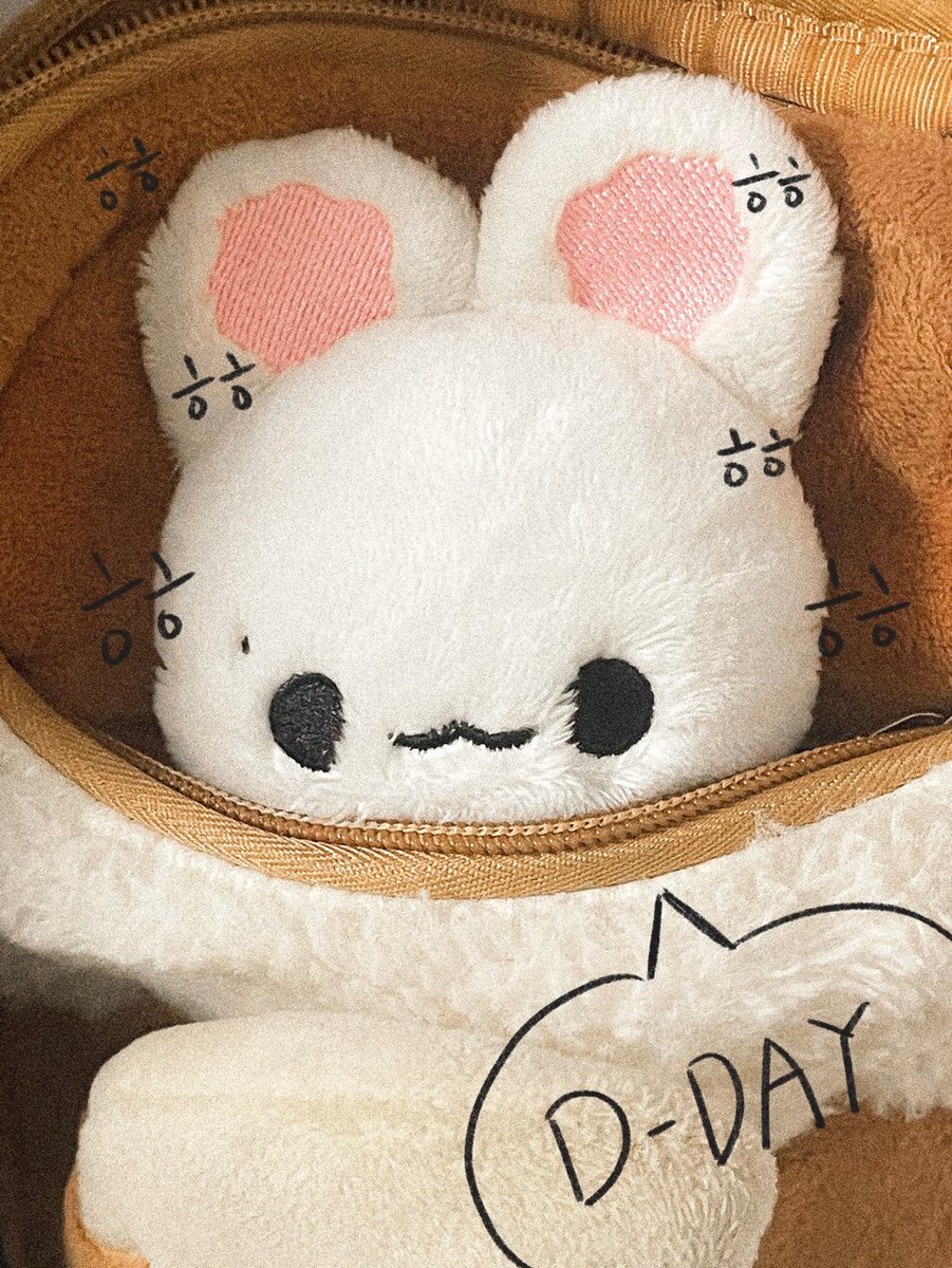 ninizcute's tweet photo. ʚ⋆⁺₊⋆ 🐰🐻 ⋆⁺₊⋆ ɞ
오늘은 치치, 니니 선입금 마감일입니다❗️ https://t.co/NYT1VaGfz9