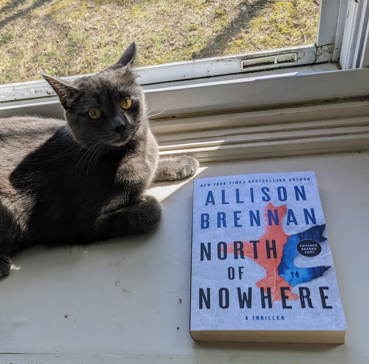 If you're looking for the perfect summer #thriller check out #NorthofNowhere by @Allison_Brennan. It's got non-stop action and some insights into family you're born into and the ones you've found. Check out the review: bit.ly/45mbbIv