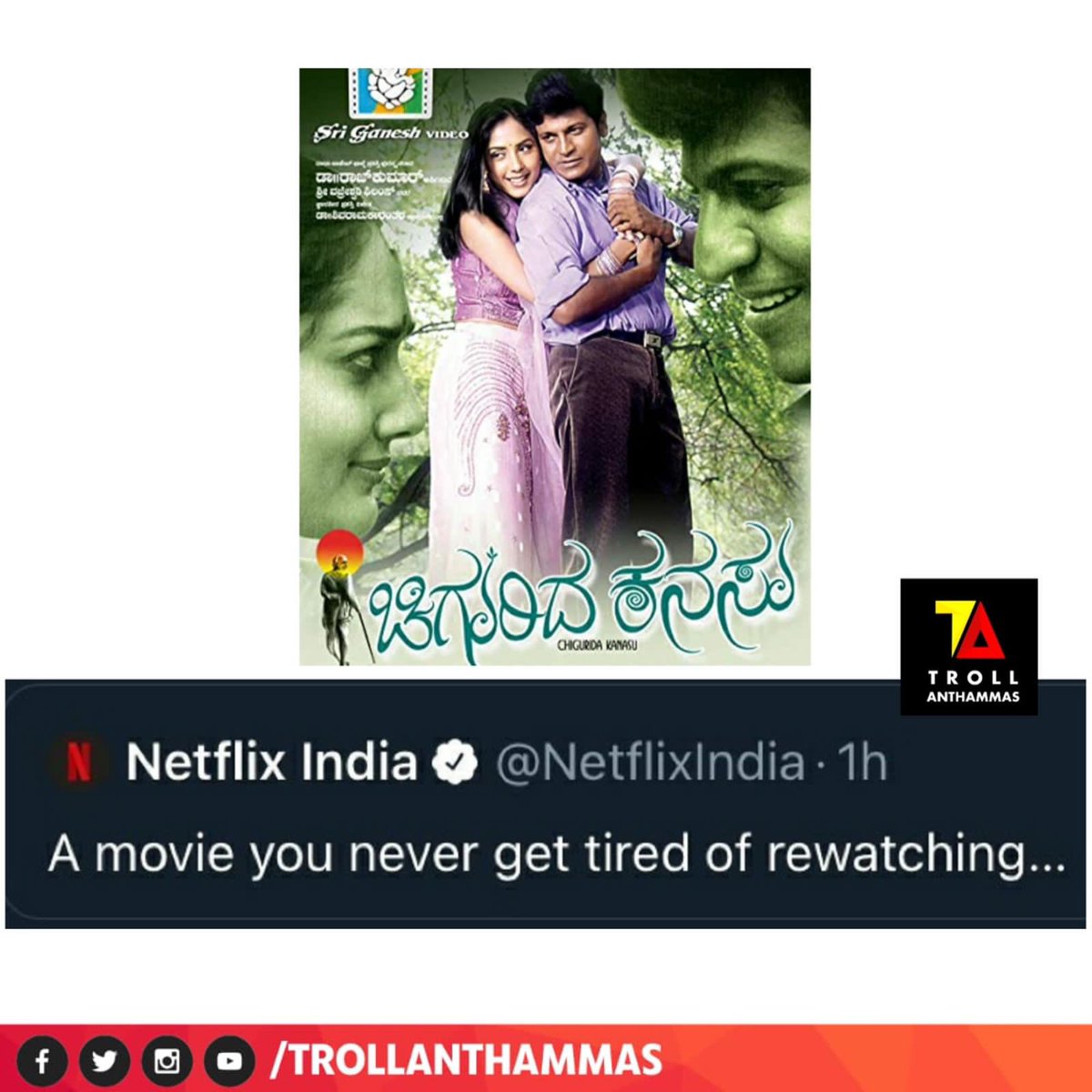Troll Anthammas tweet media