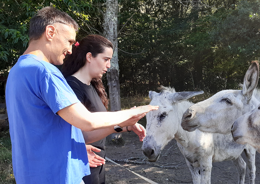 Apacaf2's tweet photo. Este ano a actividade estrela dos campamentos de verán de #APACAF é a andaina de bosque terapéutico, unha práctica orixinaria de Xapón que consiste en internarse na natureza para acadar un relax total. https://t.co/0XLai0qRaB