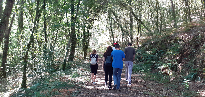 Apacaf2's tweet photo. Este ano a actividade estrela dos campamentos de verán de #APACAF é a andaina de bosque terapéutico, unha práctica orixinaria de Xapón que consiste en internarse na natureza para acadar un relax total. https://t.co/0XLai0qRaB