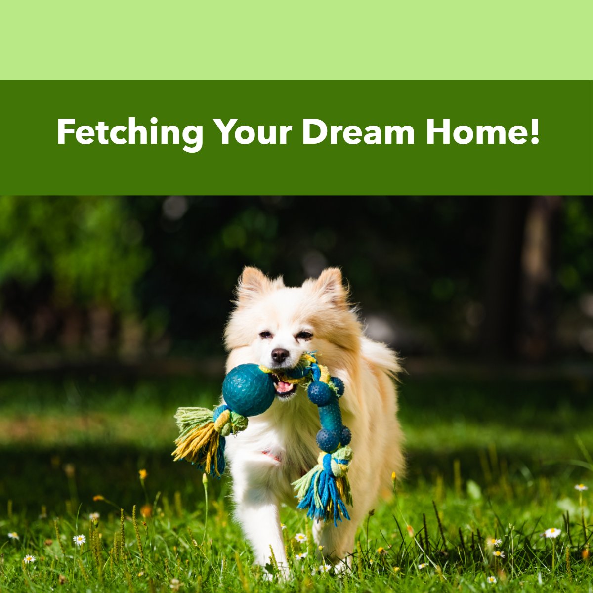 I can help ... 

Fetching your dream home!! 🏡

Feel free to contact me.. 😉
#swflrealtor #swflrealestate #floridarealestate #florida #newconstruction #homebuying #homebuyingprocess #homebuyingtips #househunting #fsbo #Teamswflelite #realestateinvestor #floridahomes