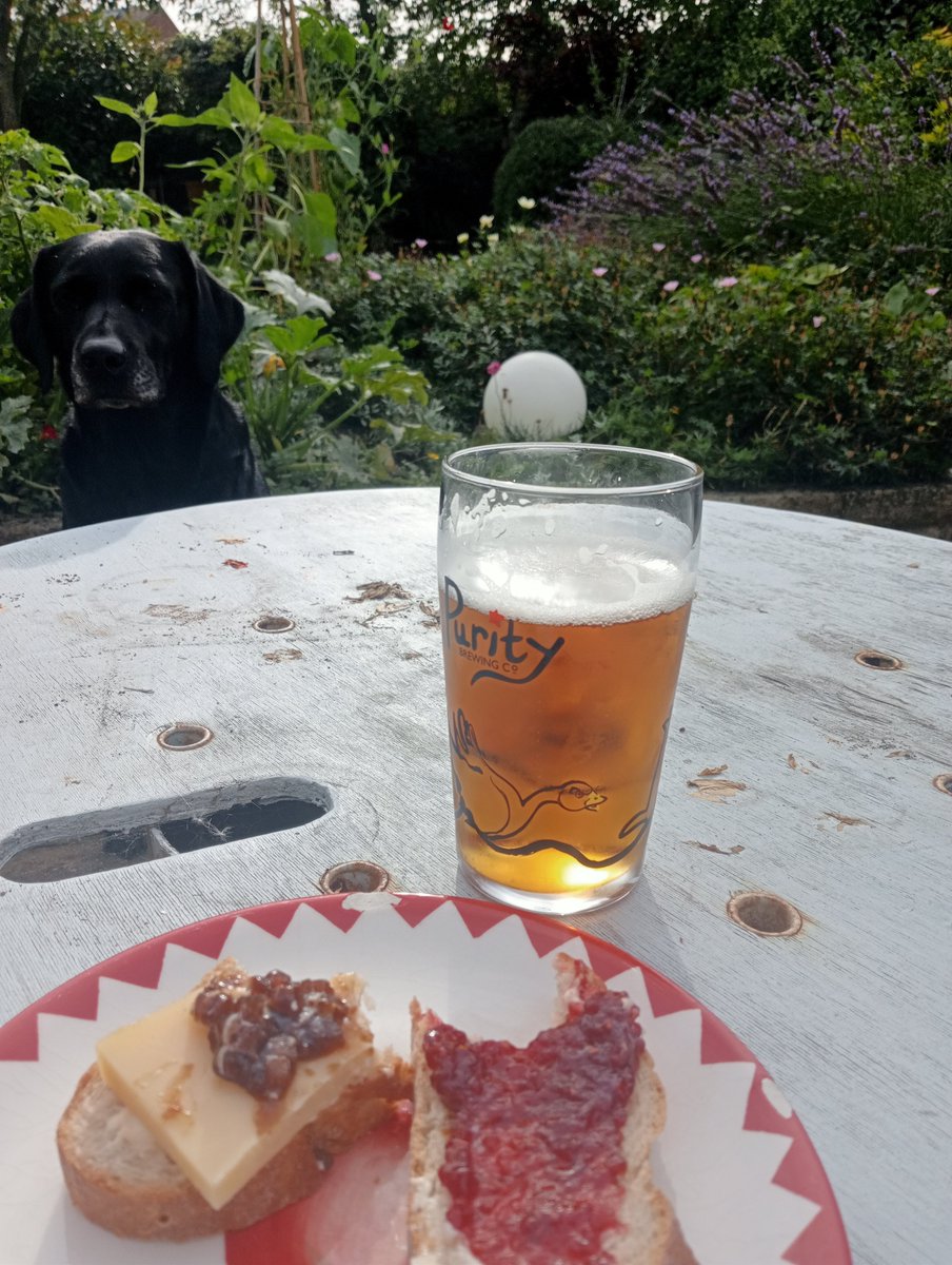 ecoevoenviro's tweet photo. Nipped into the desk for an hour - five hours later at home for #lunch on my day off 😂 - well it is Friday! Being 👀 by Mia the #labrad https://t.co/9ZzDZKhaDc