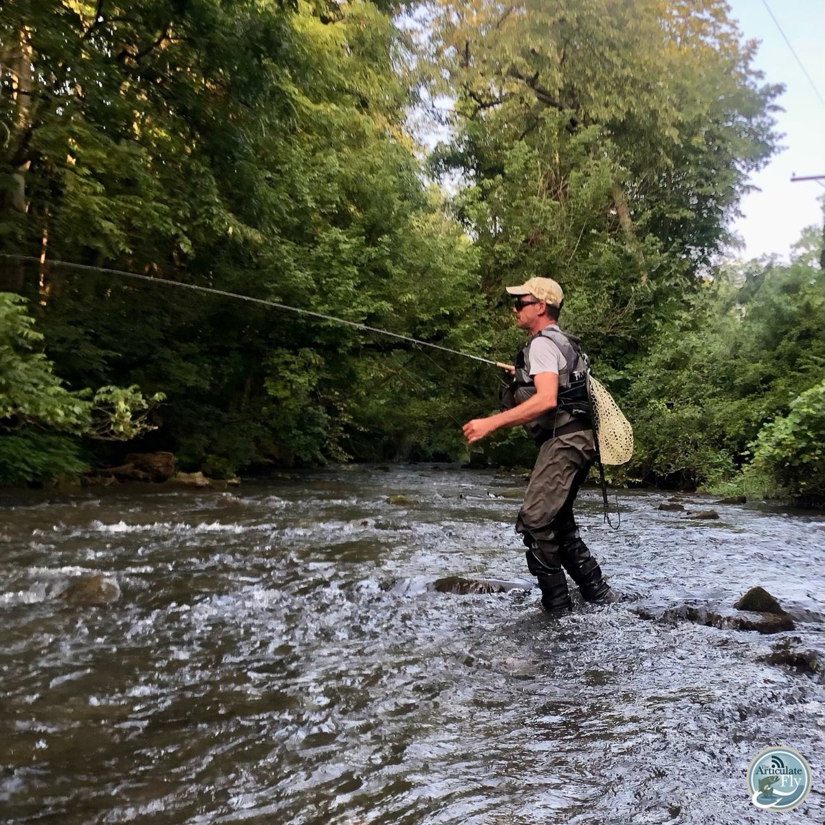 Articulate_Fly's tweet photo. Central PA Fishing Report with George Costa of @tcoflyfishing 
#flyfishing #flytying #thearticulatefly #tcoflyshop #liveoutdoors #flyshop #repyourwater #fishingreport https://t.co/lTN8ifLxik https://t.co/yCRJcyfmLE