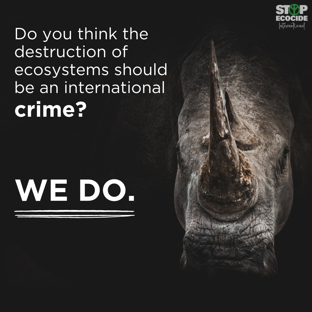 Severe, wilful destruction of nature is called #ecocide. 

We believe ecocide should be an international crime. Don’t you?

Sign our int. petition + add your voice to the 45k others calling on governments to declare support for #ecocidelaw:

stopecocide.earth/petition 

#StopEcocide