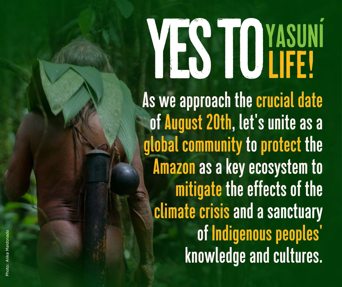 klimadelegation's tweet image. On August 20, let us join Ecuadorians in saying #YesToLife #YesToYasuní. This is a historic moment for the protection of global biodiversity. We admire your work @AFrontlines @CONAIE_Ecuador