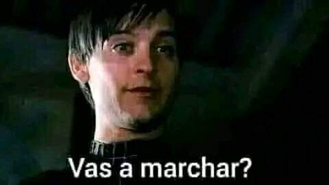 No se trata de tu sexualidad🌈. A nadie le interesan tus nalgas, cara de limón podrido: se trata de lo que proyectas. La gente no te respeta porque la victimización, la histeria y la debilidad jamás será respetable ni "sexy".