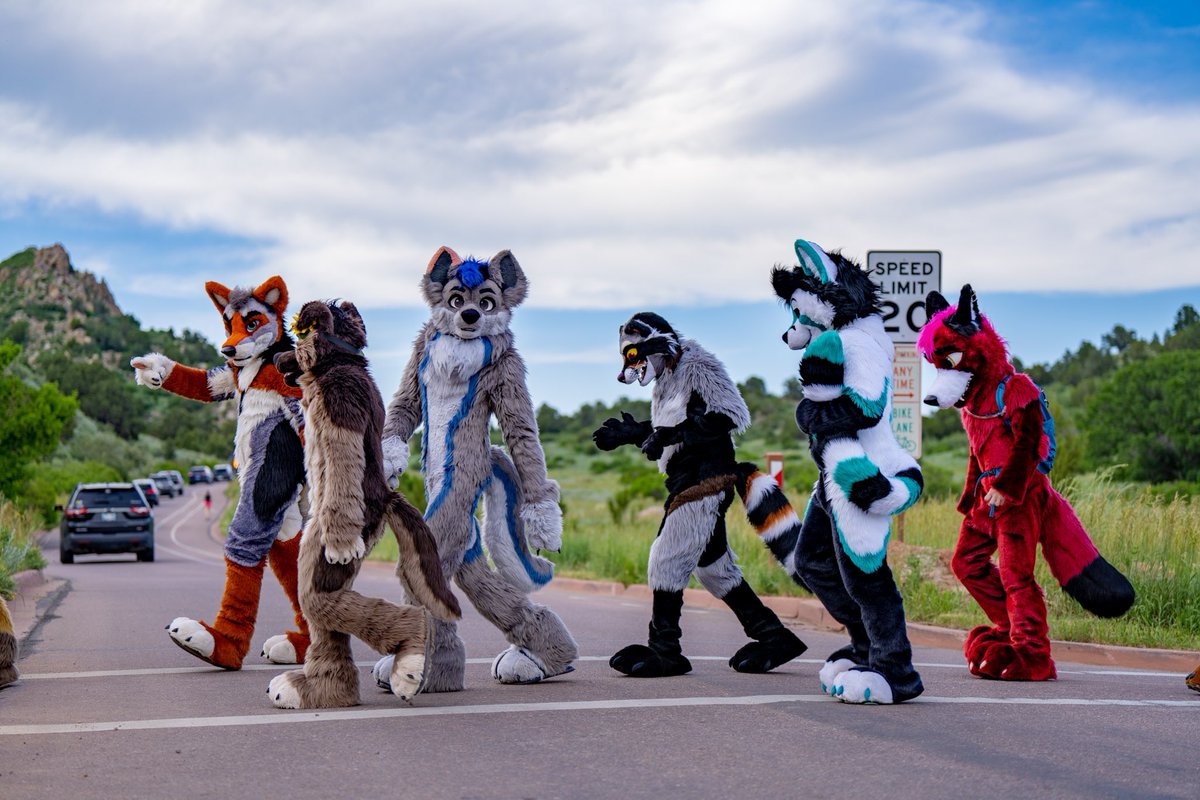 Disjoint Wolfy ๐ LVFC (@disjointwolfy) on Twitter photo Lookout! Animals are crossing the road ๐
๐ธ: <a href="/KooperShiba/">๐๐๐๐๐๐ ๐</a>
#FursuitFriday Lookout! Animals are crossing the road ๐
๐ธ: <a href="/KooperShiba/">๐๐๐๐๐๐ ๐</a>
#FursuitFriday