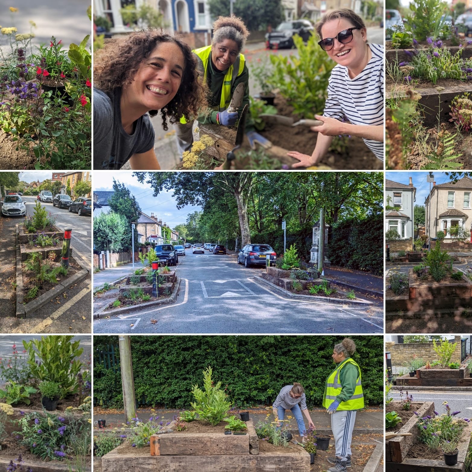 Having converted the width restrictors at the lower end of Bonner Hill Road from a large expanse of concrete into a green zone in summer 2022, this summer Sunflower Streets RA residents have built planters and planted out a wide range of colourful flowers and shrubs. Follow our progress on https://e-voice.org.uk/sunflowerstreets/growing-places-initiative/. 