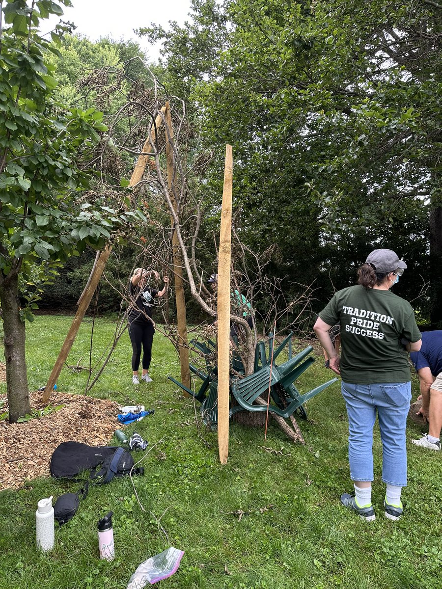 Tracey Landry tweet media