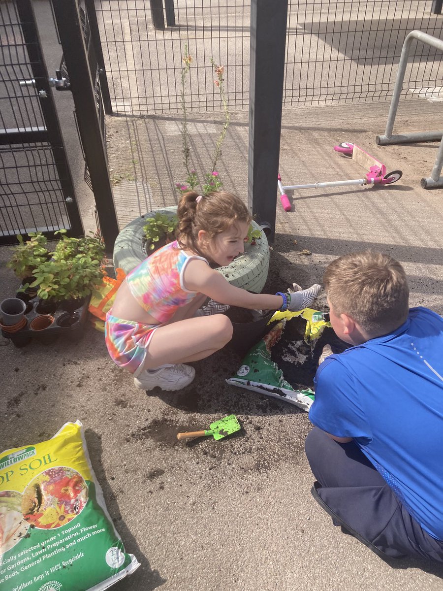 BethForHousing tweet media