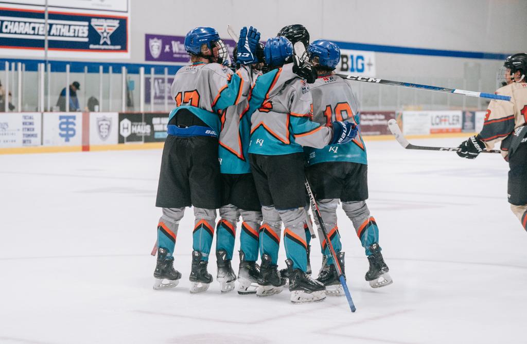 YouthHockeyHub's tweet photo. BEL Major Playoff Preview 

- Breakdowns of opening round games 
- A Player to Watch from each team 
- The Favorites 
- The team nobody wants to play this weekend 

STORY LINK >>> https://t.co/8UVOdT60iA https://t.co/KtrAZinfRf