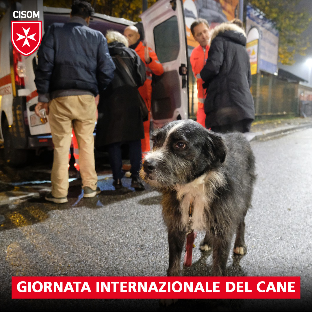 CIS0M's tweet image. ❤️ La nostra missione è quella di tendere una mano solidale verso i meno fortunati ma anche verso i loro piccoli amici a quattro zampe #giornatadelcane #giornatamondialedelcane #cisom #ordinedimalta #homeless #senzatetto #soccorso