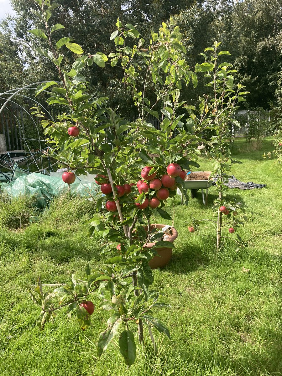 BethForHousing tweet media