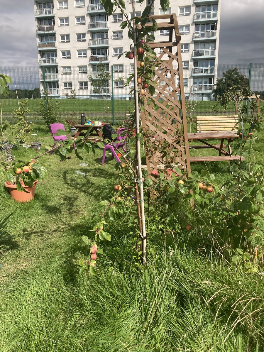 The perfect weather for a forward planning meeting at Meadow Park Community Orchard with <a href="/Jackfrozzzt777/">Neil</a> 🌳🍎 A brilliant space for the community in Stockbridge