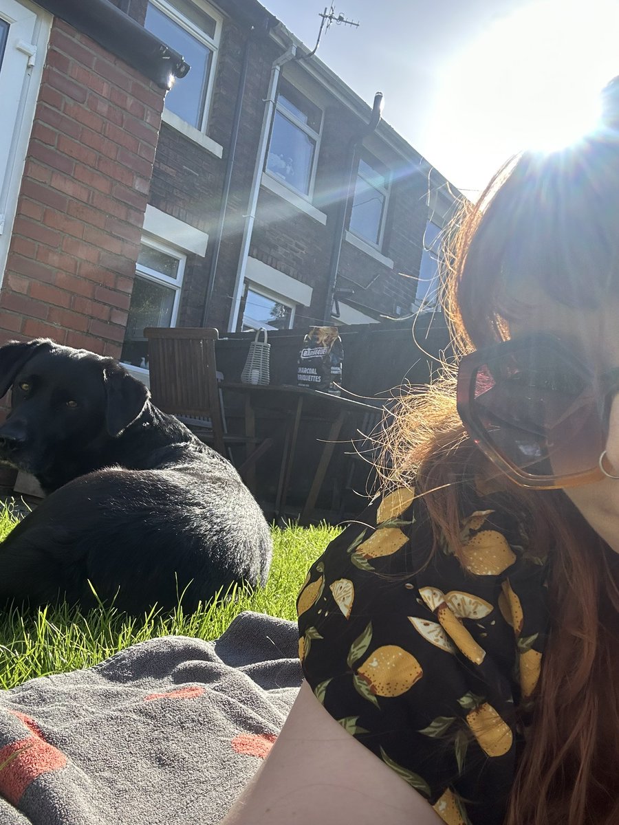 DAISY______may's tweet photo. Excellent sunny hangout buddy https://t.co/qpTQ3E8pHp