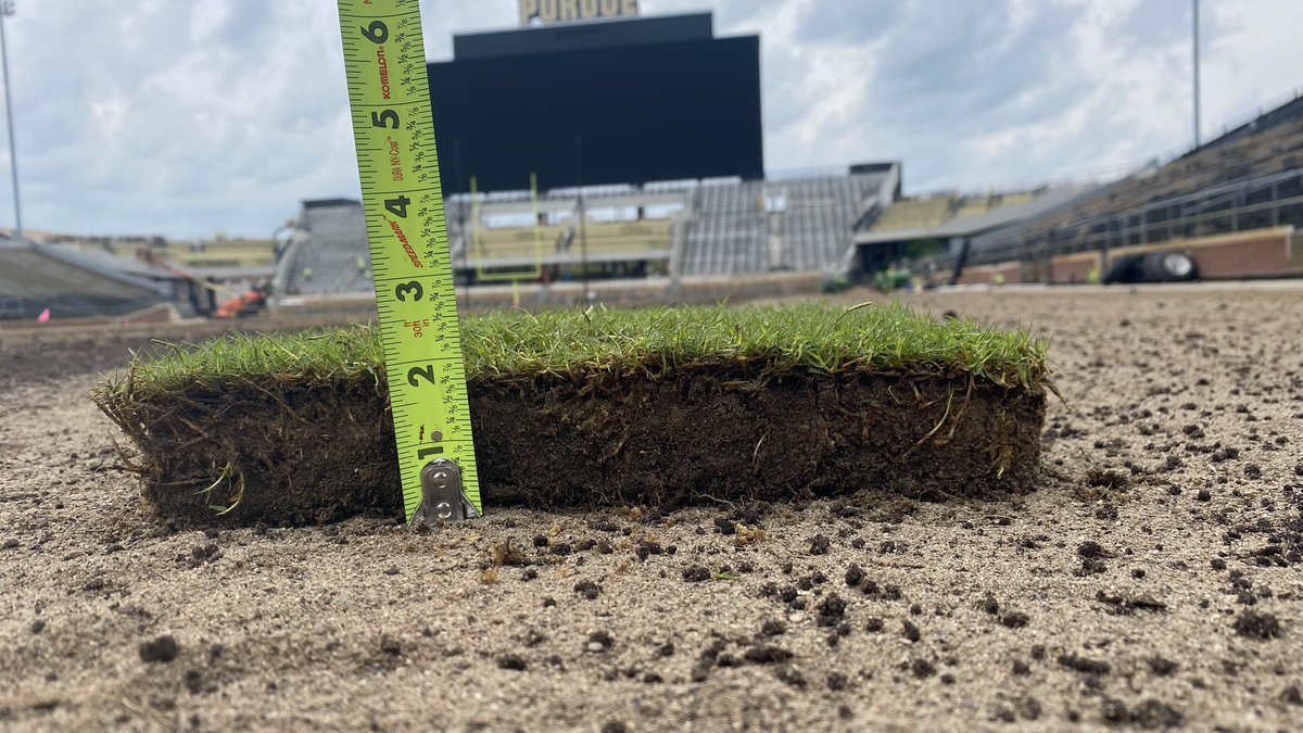 Andrew Marking tweet media