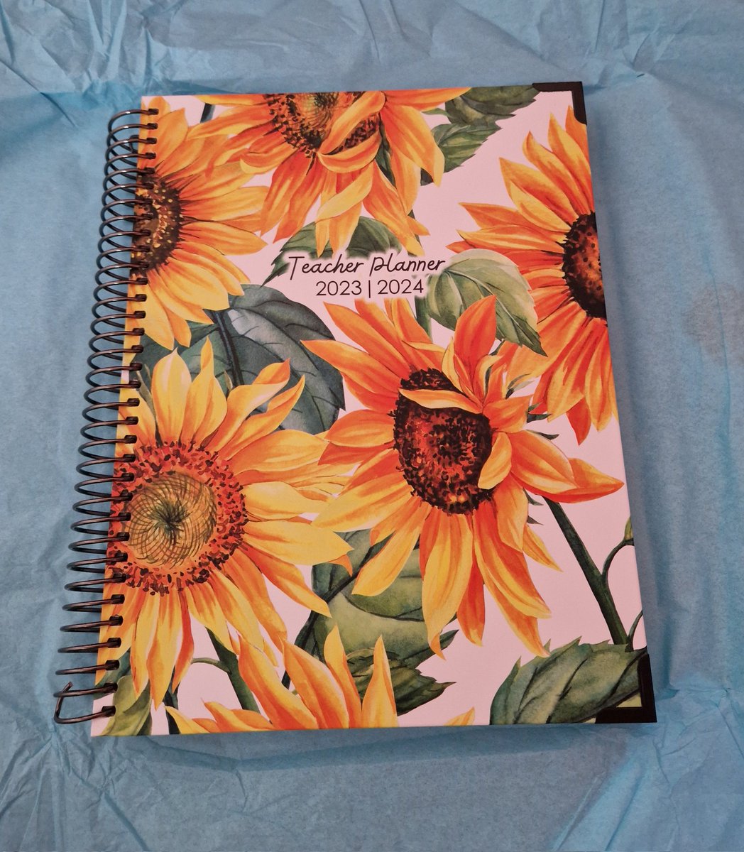 Here's my beautiful @TPositiveTC planner for this year! A bit late to the party this year but can't wait to get my washi tape out & get started! 🌻🌻🌻 #teacherplanner #positivity