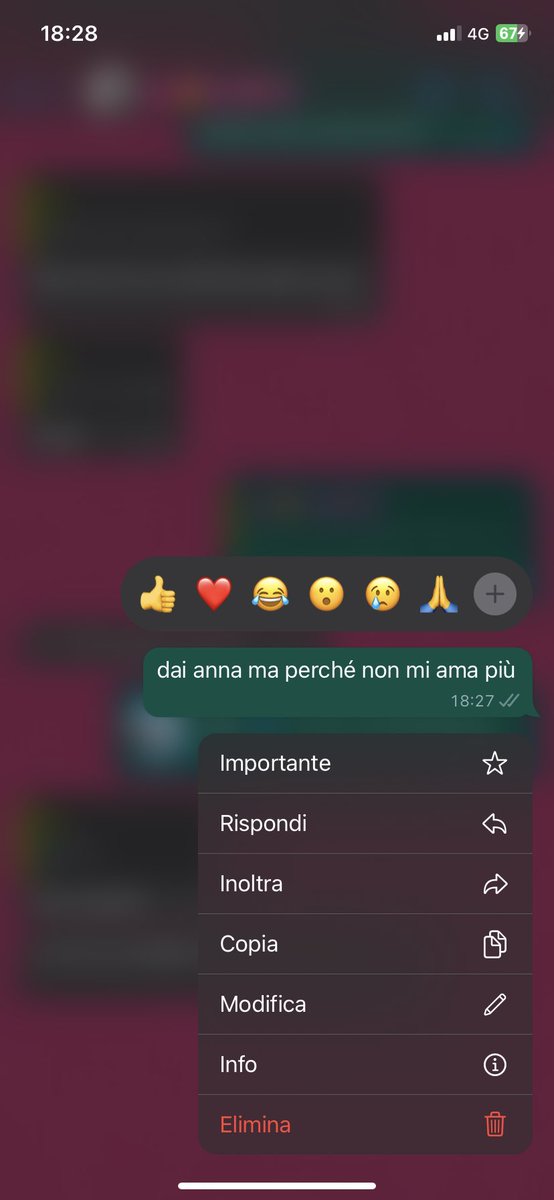 povera anna