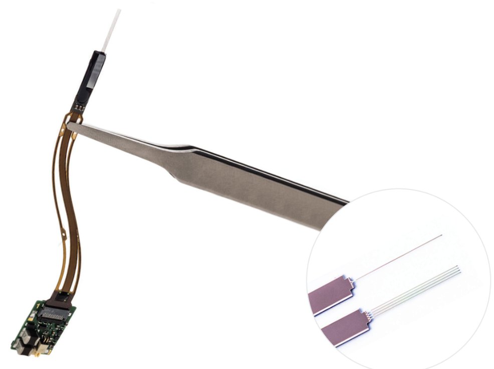 Neuropixels 2.0 probes are now on sale! 

Multi-shank, miniaturized, higher density than 1.0. 

To order: neuropixels.org/post/neuropixe…

Our paper about the probes: science.org/doi/full/10.11…
