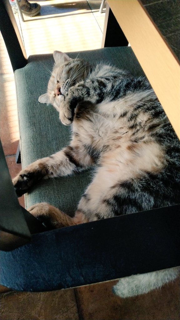 Evet, uyku önemlii💤