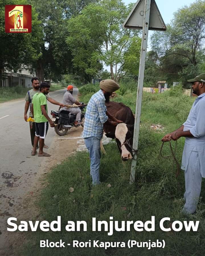 'SafeRoadsSaveLives'initiative was taken by SaintGurmeetRamRahimSinghJiInsan. According to this initiative, DeraSachaSauda followers tie radium bandages or chemical free reflector belts on animals &remove animals carcasses & trees from the road.
#SafeRoadSaveLives
#AnimalWelfare