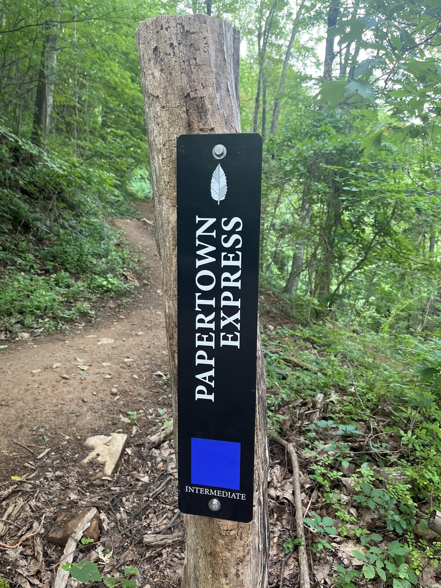 BrianTurnerNC's tweet photo. Perfect weather to tour Chestnut Mtn Trails w/ @SecReidWilson &amp; @CantonCares leaders @ZebSmathers &amp; @ktinaproctor. thx to @ncculture @SAHC for support. Will be a good spot for birding @AudubonNC https://t.co/6UQG34tupp