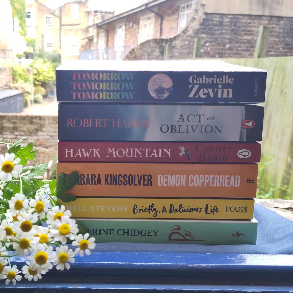 #Summer has  finally(!) arrived this week so it must be time to choose your reading  to fill the sunny days we've all been waiting for.

Here's the selection from the first page of our 2023 #SummerReading catalogue. Pick up your copy in the shop today!