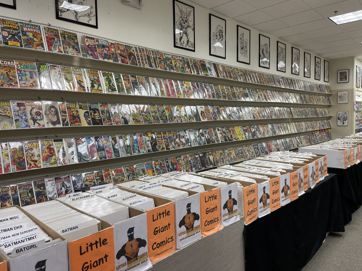 #FF goes to @RockinghamMall, which I visited for the first time last weekend. Yes, there are lots of malls across America but this one houses some really cool stores, including #LittleGiantComics which is bursting with great back issues! 😄 Funky parking, super mall.