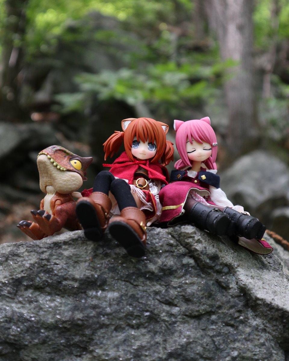 CarianiDebora's tweet photo. ##marisu
#myamu
#wafuru #Azone
#azonejphotography
##azonedolls
#Azonelilfairy
#azonepicconeemo
#mimygarden
##azoneinternational #dollstagram
#dollgram
##アゾカツ
#うちのこかわいい
#アゾン
#えっくすきゅーと #toyphotography https://t.co/9S0XH8J4IP