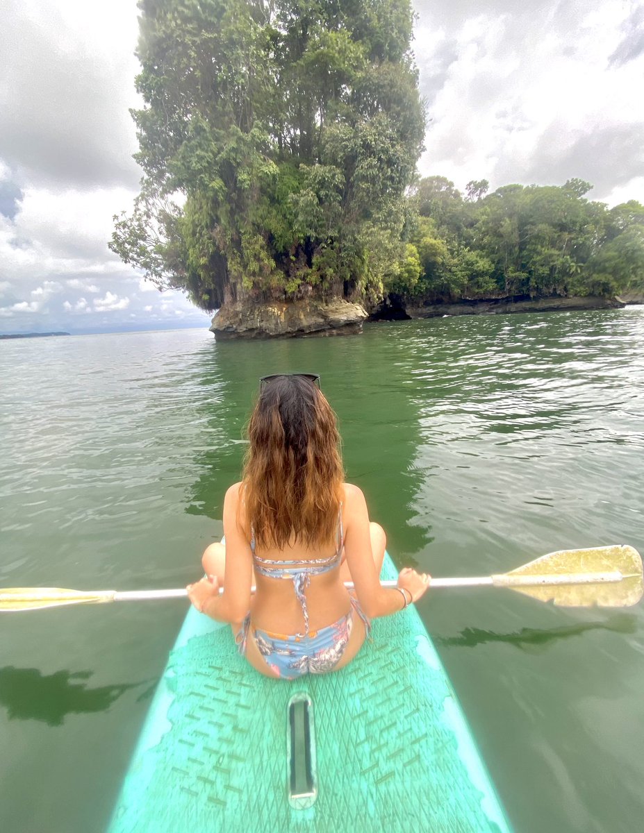 MariaJoseGomez_'s tweet photo. 🫀✨🐋feliz https://t.co/LFWQXmZaCG