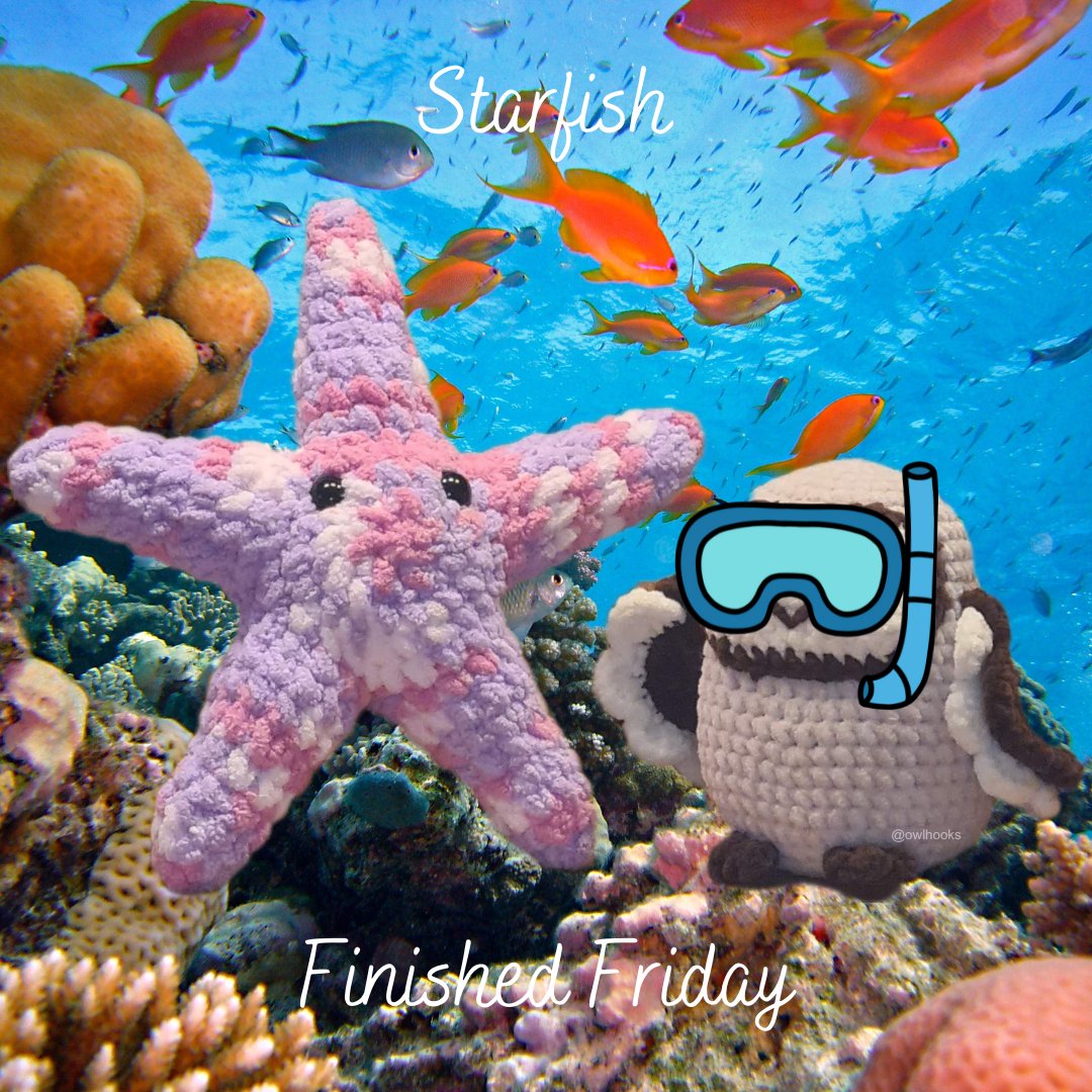 Owl_Hooks's tweet photo. Owl introduces Starfish!
Pattern: @crochetgrove
Wednesday and Finished Friday every week, follow to see what he is making next
#owlhooks #crochet #amigurumi #smallbusiness #smallbusinessuk #plushie #owl #yarn #handmade #august #seacreatures #finishedfriday #starfish https://t.co/fJzRcGWYvM