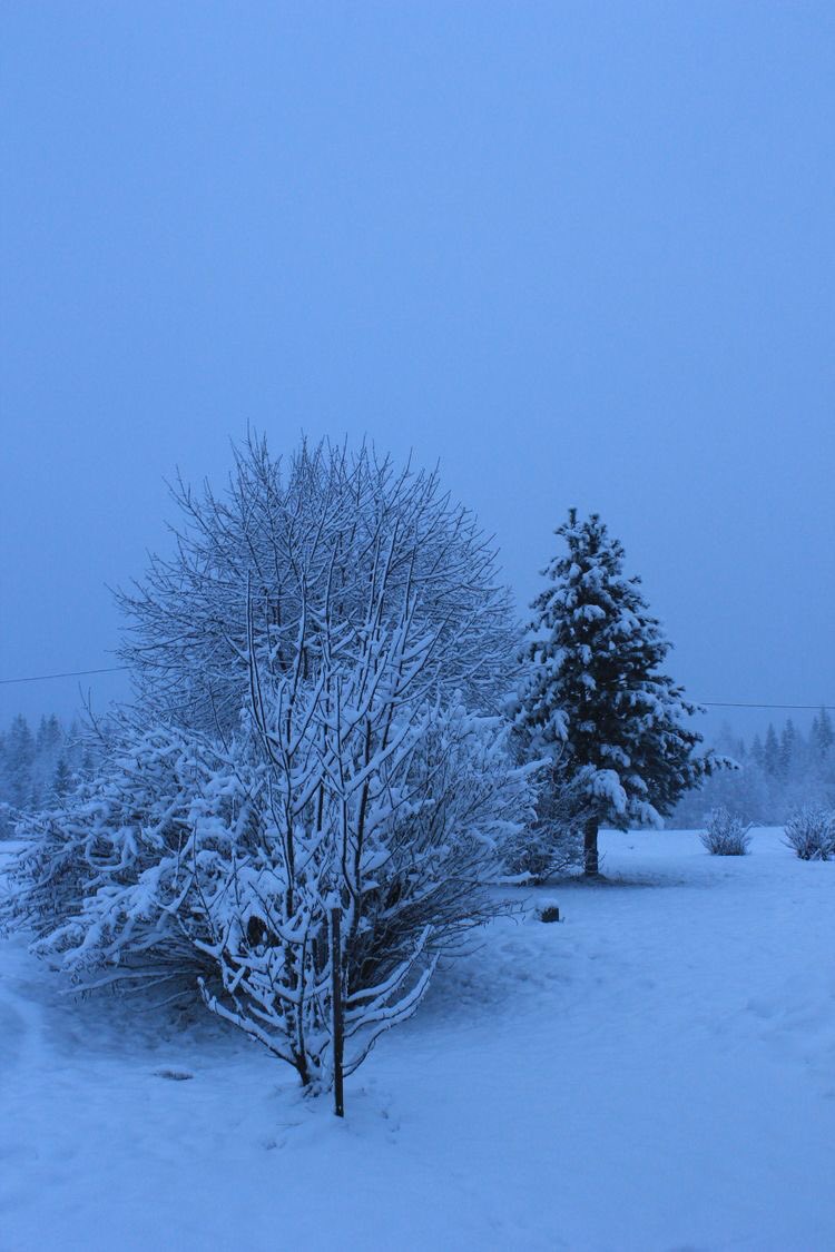 violettweets_'s tweet photo. winter season. https://t.co/QJiVxv9FfM