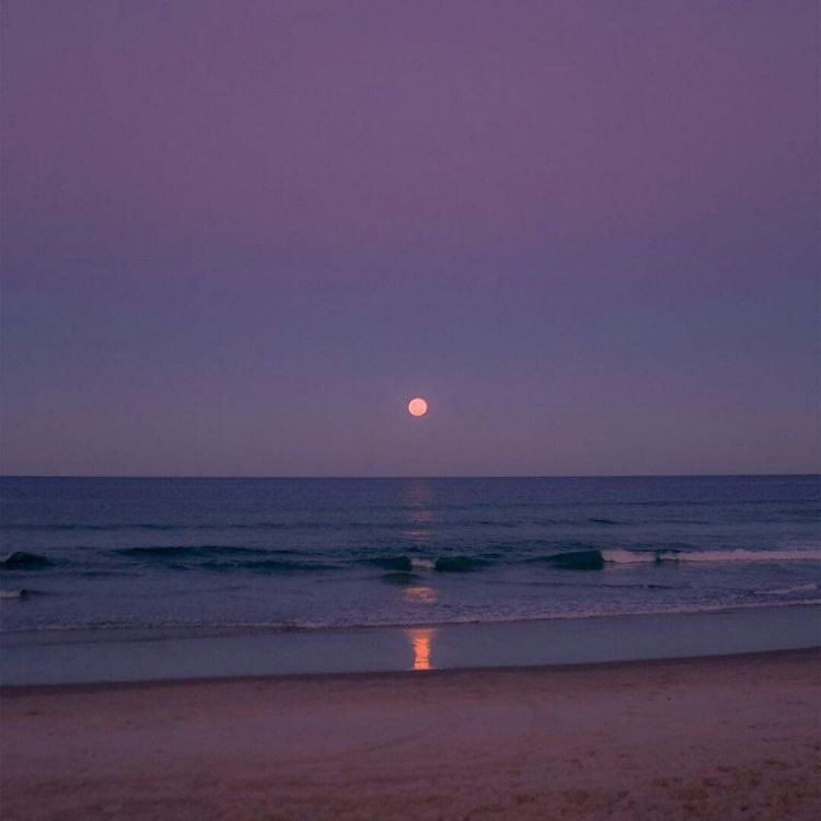 violettweets_'s tweet photo. violet. https://t.co/uEqfWHHTJF