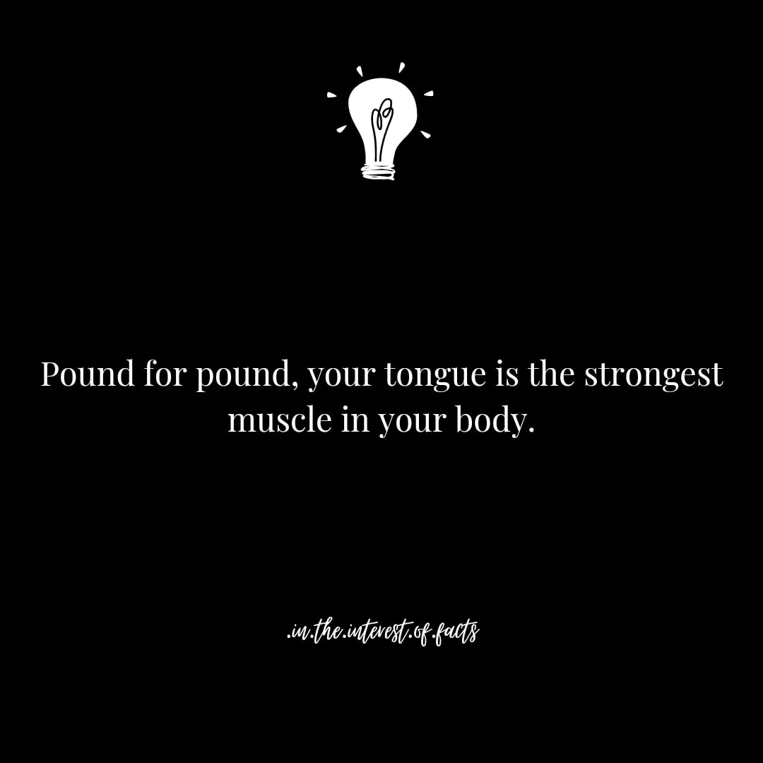_Facts_Fun's tweet photo. True or False?
@FUNFACTS
.
#fun&amp;facts #interestingfacts #justfacts https://t.co/t3Dqig6xLP