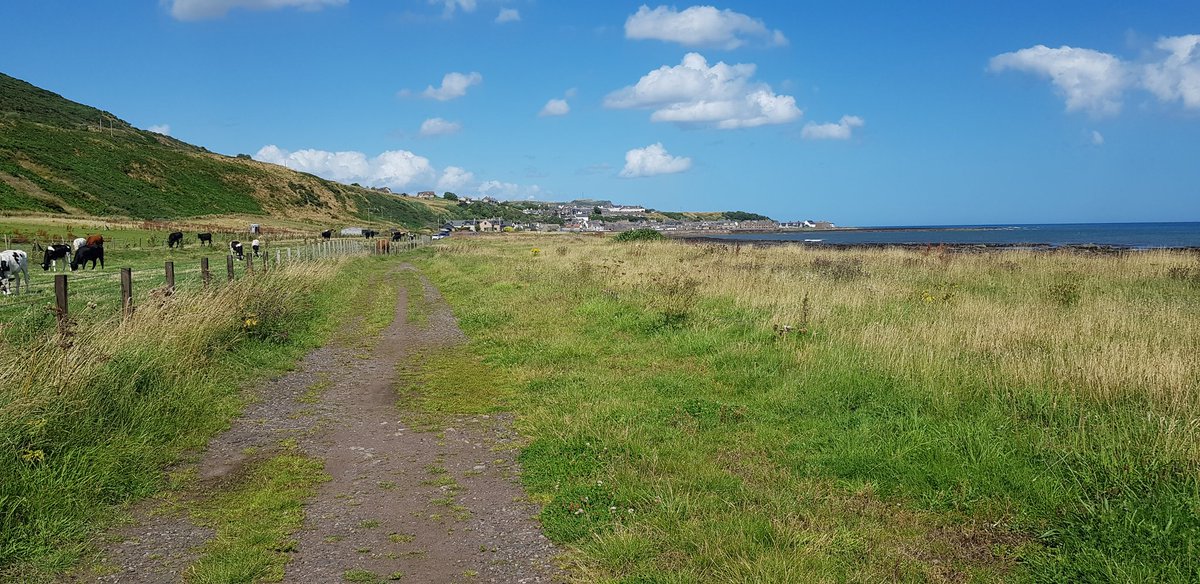 #outandaboutscotland
Aberdeenshire coastline in the August sunshine 👍
