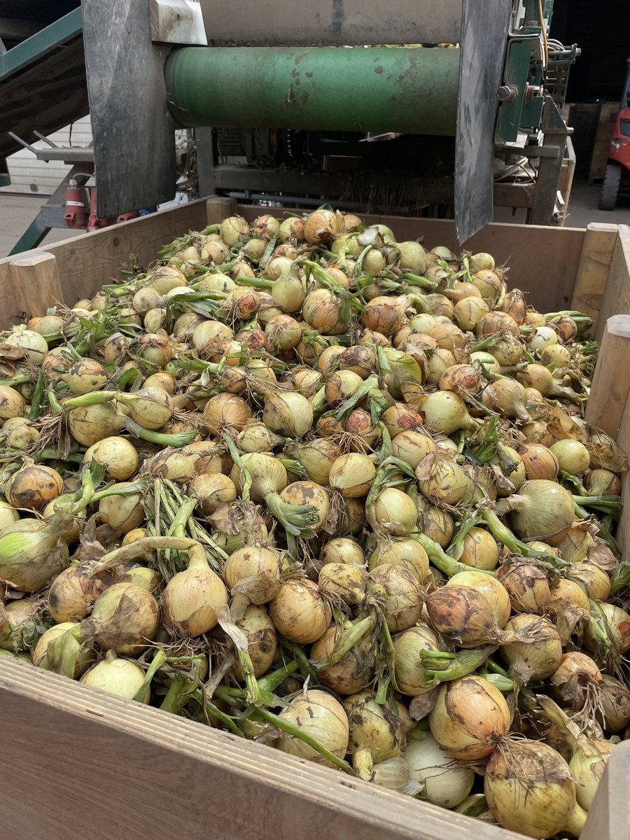 Lennart Moerdijk tweet media