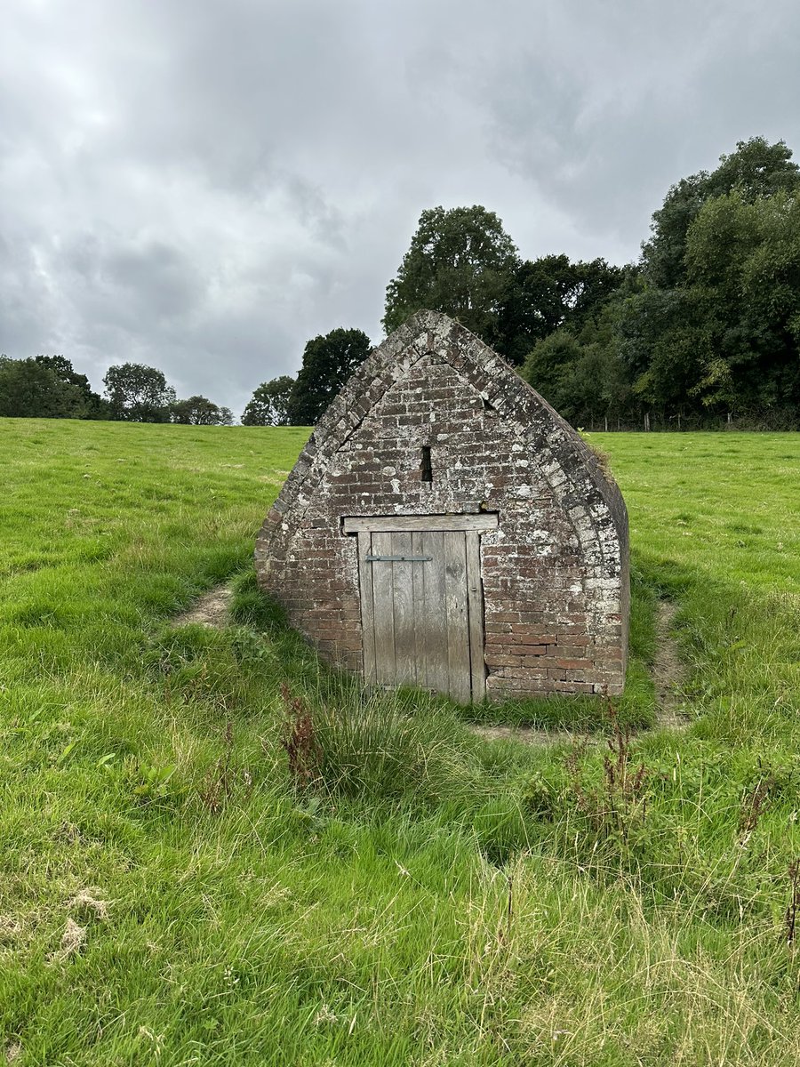 Jason Thomas tweet media