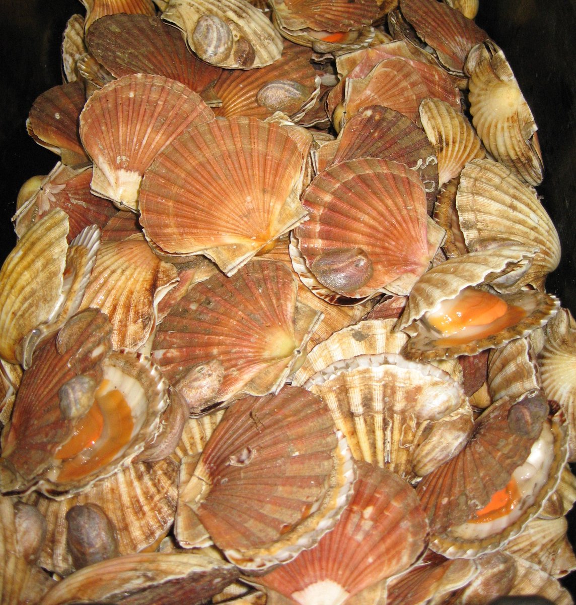CONSULTATION ON FISHERIES MANAGEMENT PLANS
devonandsevernifca.gov.uk/Latest-News-an…