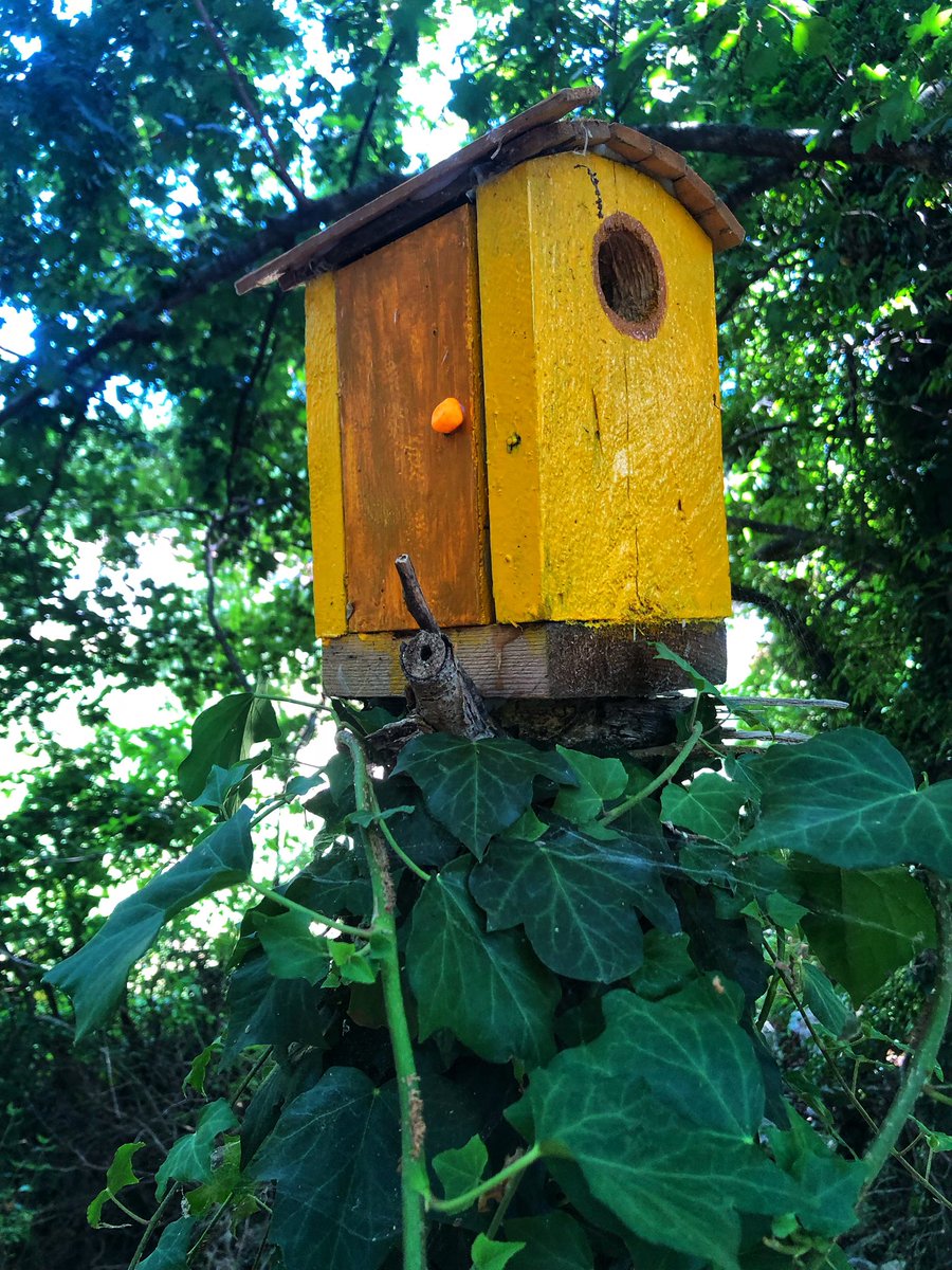 GuidoLavorgna's tweet photo. A #Pietraroja c’è un portale che consente l’accesso al mondo incantato dell’oasi del Fauno. Visita consigliata a tutti quelli che conservano qualcosa della loro infanzia. https://t.co/iEJJ9mqsAj
