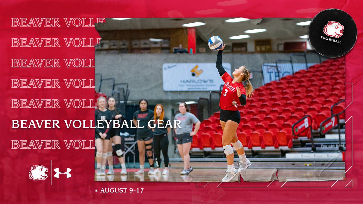 Minot State Volleyball tweet media