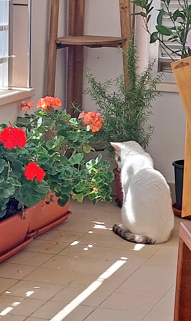 R0byM3l's tweet image. Così da un'ora