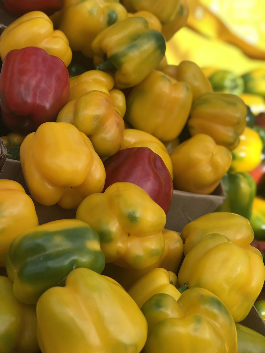 PereenFarms's tweet photo. 8000 Uganda shillings per kilogram. We offer deliveries in Kampala! https://t.co/VnihwYCNMr