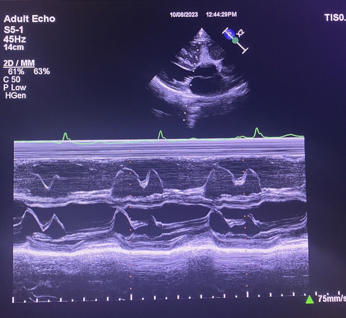 Dr G Rajesh (Gopalan Nair Rajesh). tweet media