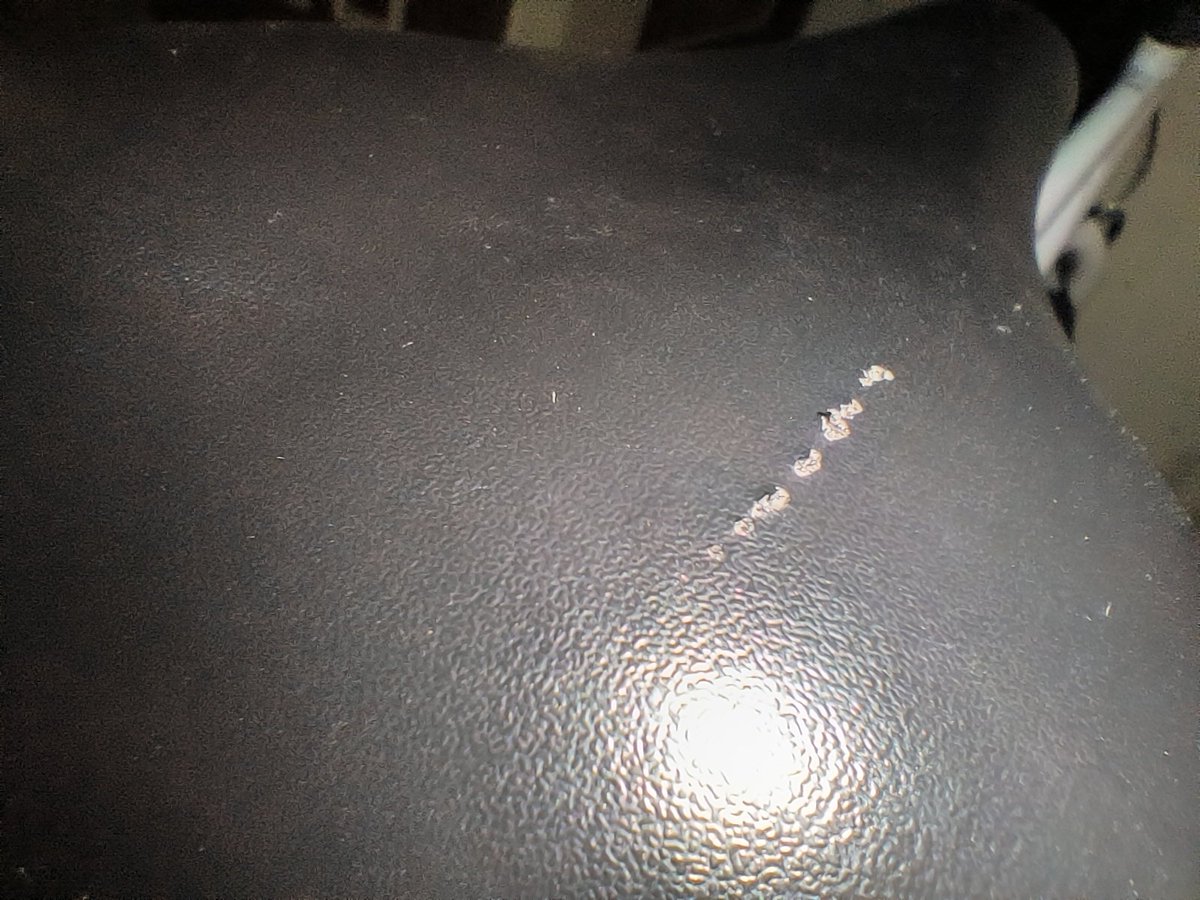 0Santosh_Gupta's tweet photo. @Decathlon_India 
It's regarding Order 16425188.
Order was delivered before due date but the seat was damaged.
Sent a mail to care.india@decathlon but not received any reply.
Kindly help me with this.

Hoping for the best from you
@Decathlon @TeamDecathlon @decath https://t.co/3517VsVHcg