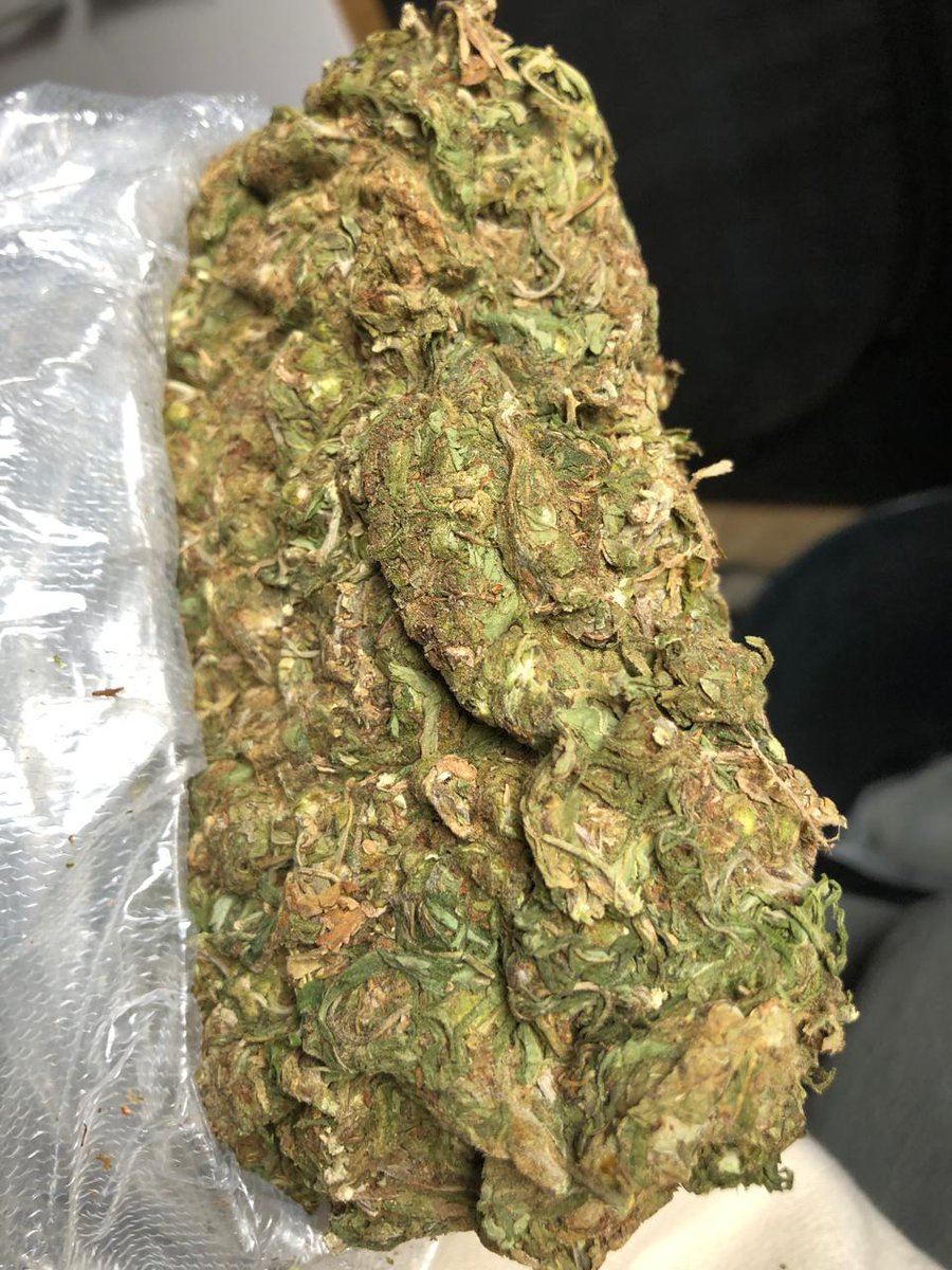 Canna4e20's tweet photo. Boom dia família, entrega de capulho gold saindo hoje!
$5,50 a G (pedido mínimo 10g)
$120 a 25g (vai brinde junto)
Pedidos até as 17h
Entregas começam as 19h 🛵
*consultar taxa do atleta*
#verdee #f1 #verdinho #maconha #cannabis #cwb #sjp https://t.co/EvQG0wyDlR